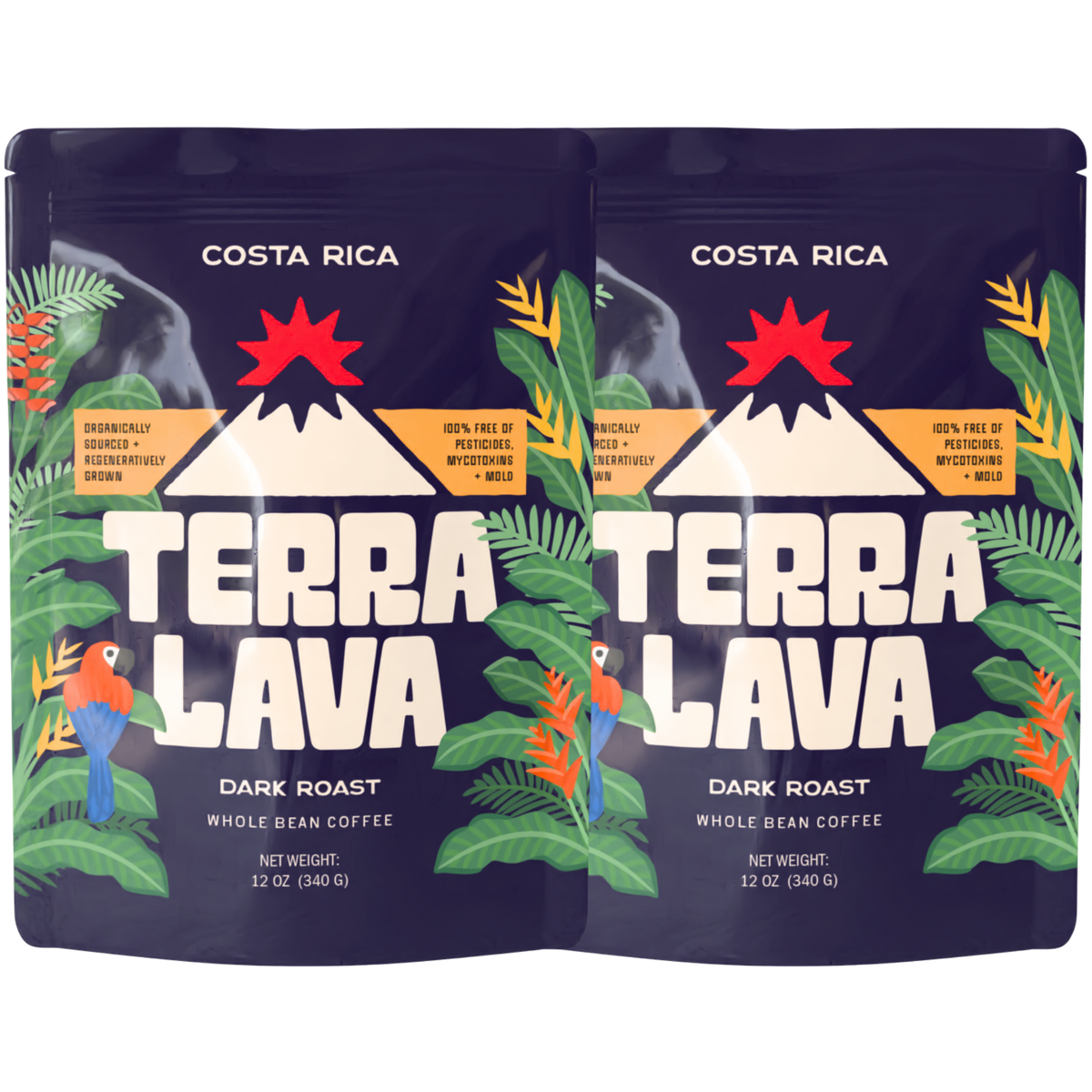 Dark Roast Bundle