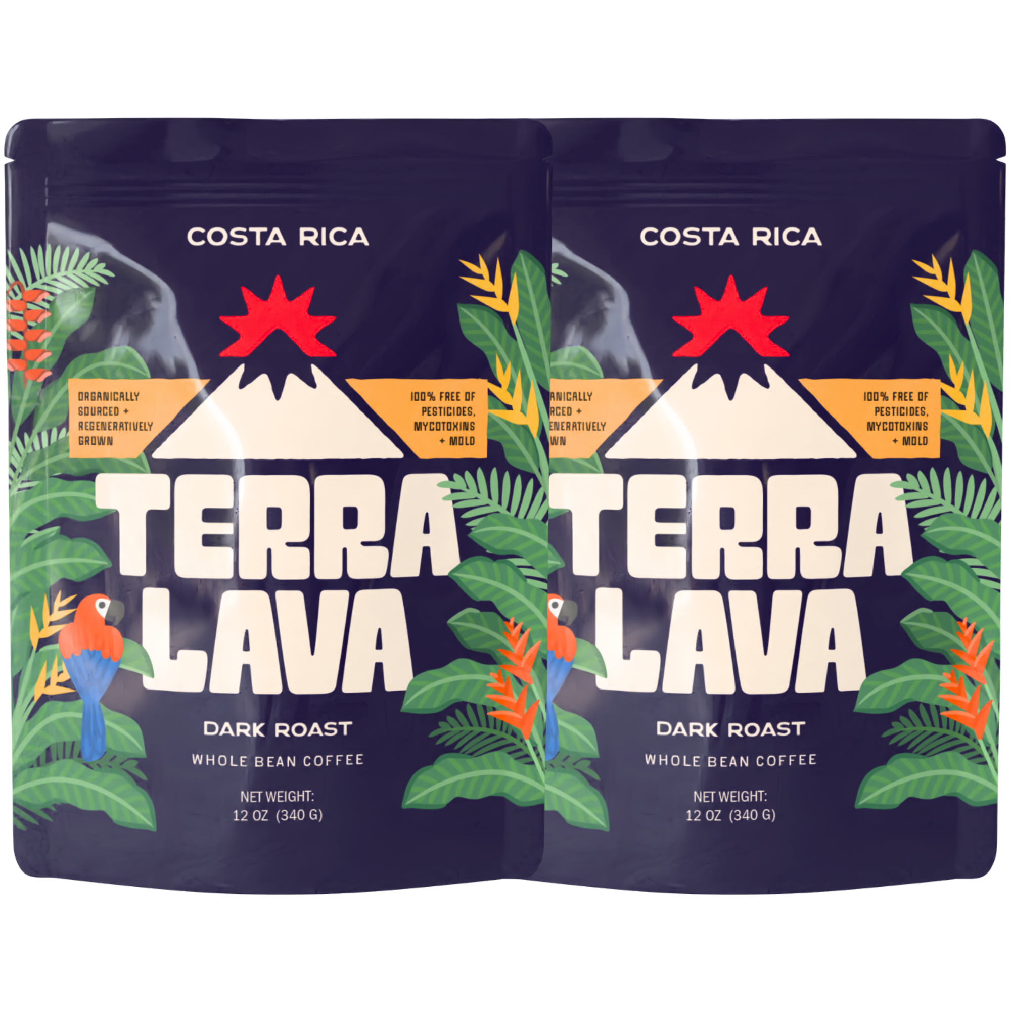 Dark Roast Bundle
