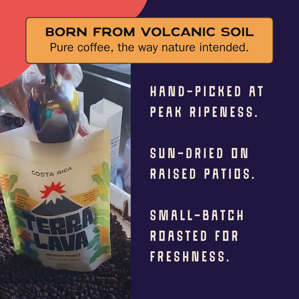 Dark Roast Bundle