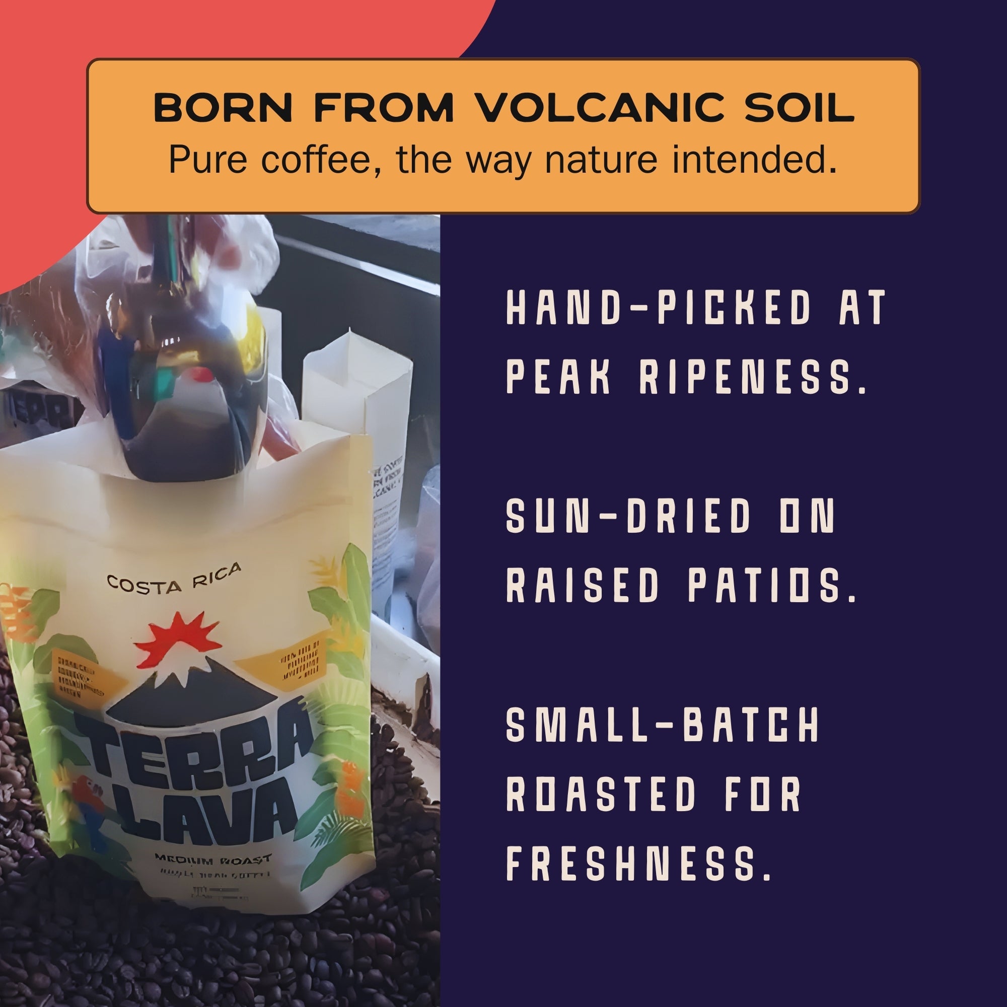 Dark Roast